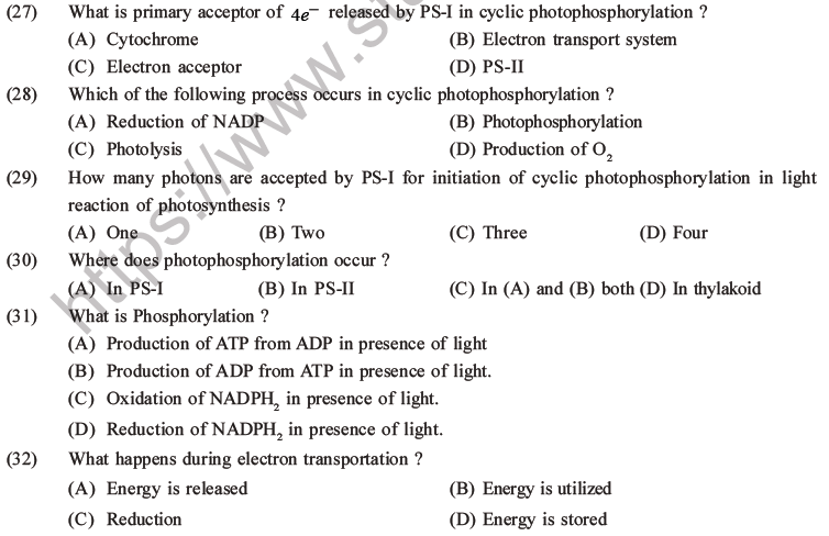 NEET Biology Photosynthesis MCQs Set A, Multiple Choice Questions